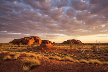Northern Territory - Staysafe Industry Training