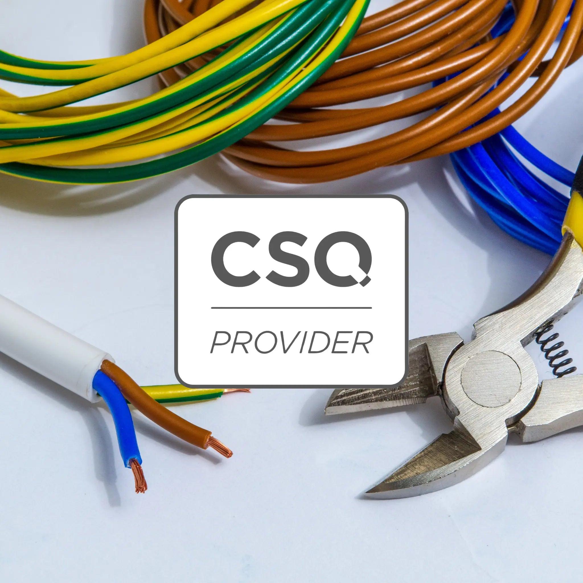 (QBP) Qualified Business Person - Electrical Contractor Licence (CSQ Funded) - Online Training - Staysafe Industry Training